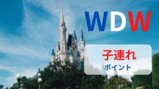 【WDW】子連れでも飛行機を快適に！失敗しないポイント9つ